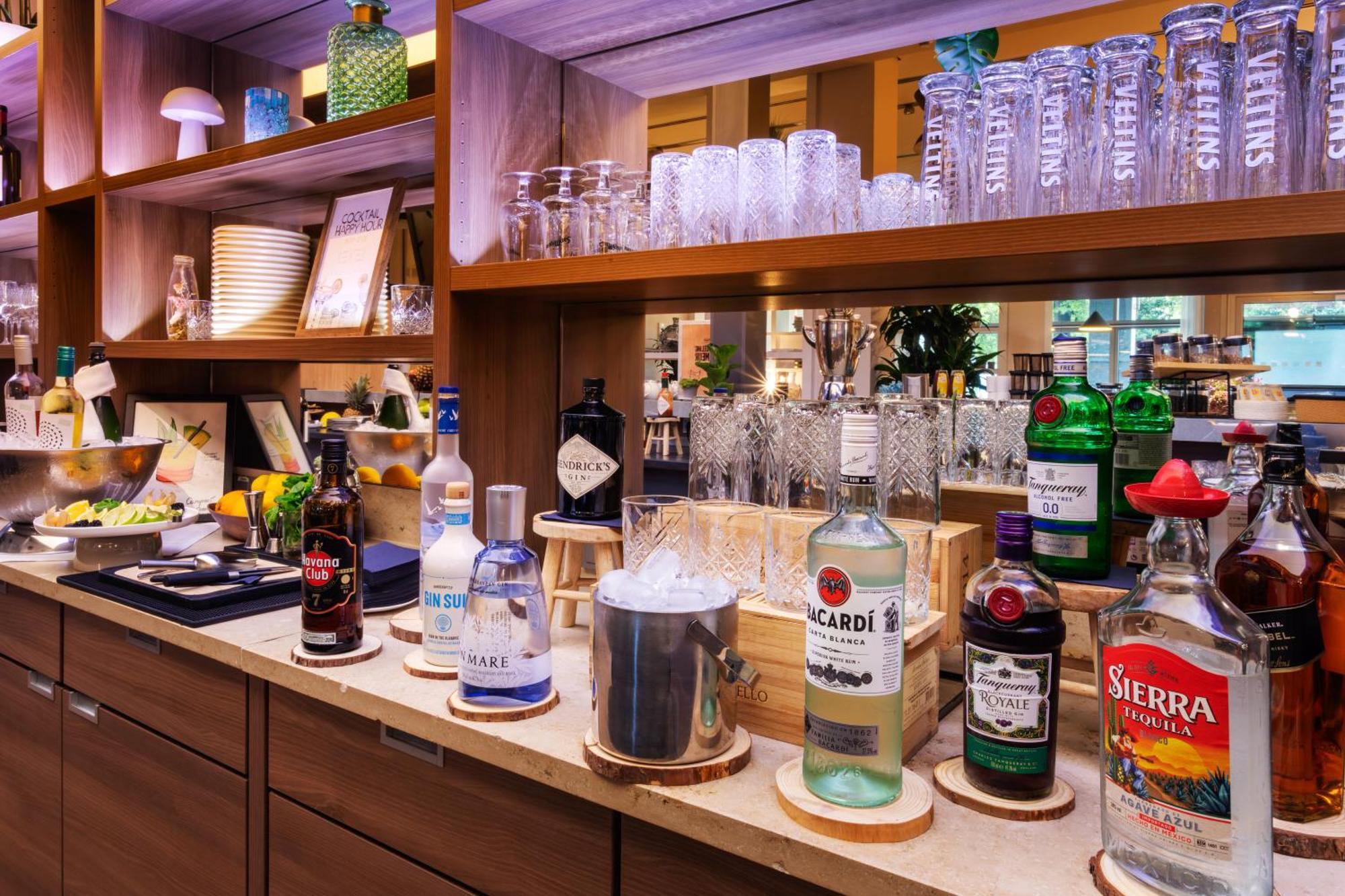 Melia Hotel Dusseldorf